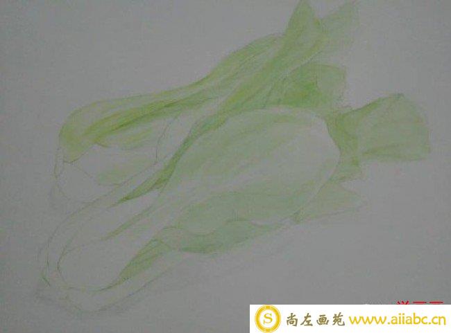 两颗逼真的大白菜彩铅画图片 青菜彩铅手绘教程 白菜的画法 白菜怎么画_