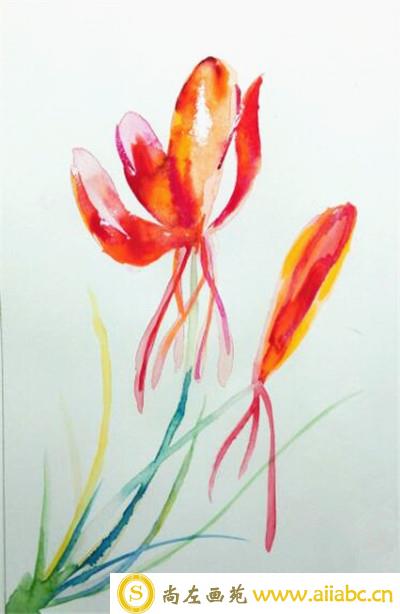 水彩画教程：简单的藏红花水彩画手绘教程