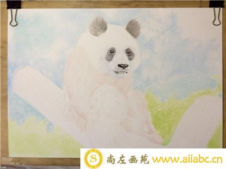 熊猫彩铅画步骤图