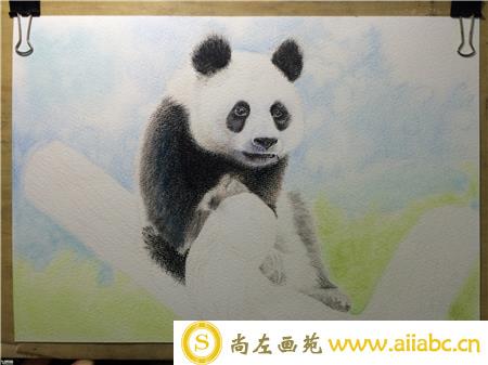 熊猫彩铅画步骤图