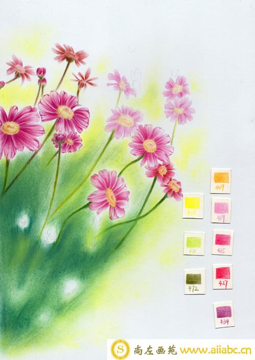 简单的色粉画花卉教程