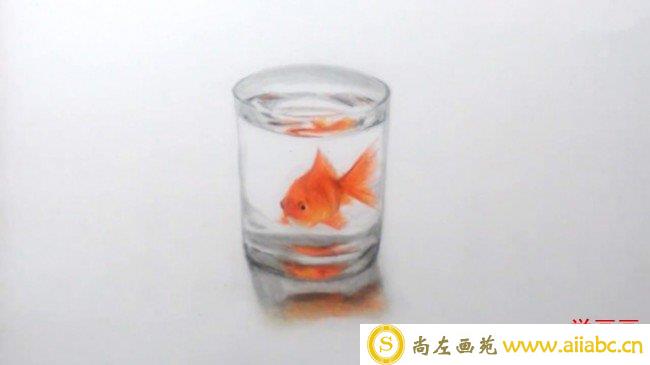 【视频】杯子里的金鱼素描彩铅画手绘视频教程 玻璃质感很不错_