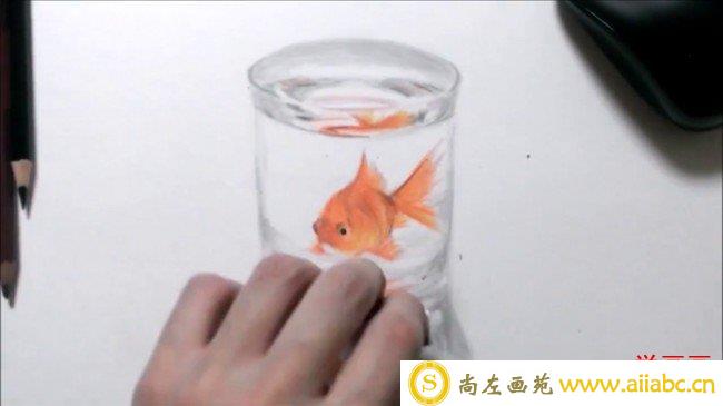 【视频】杯子里的金鱼素描彩铅画手绘视频教程 玻璃质感很不错_