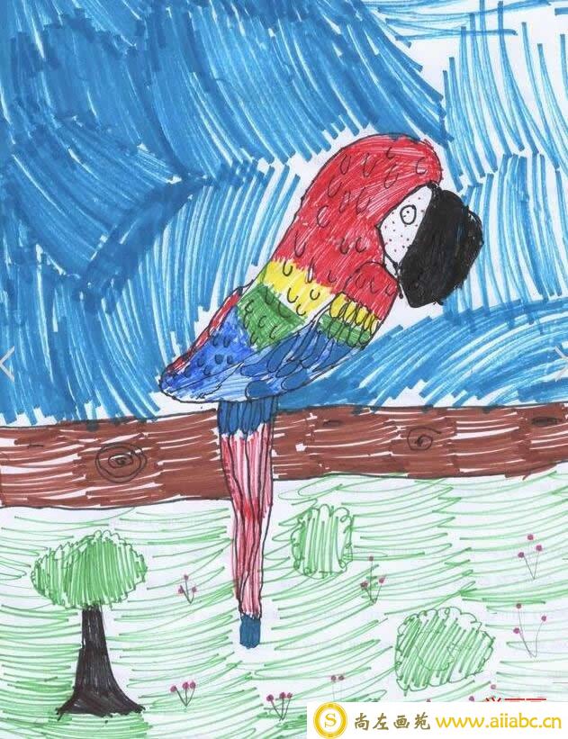 儿童画非常漂亮的金刚鹦鹉绘画作品/水彩画图片