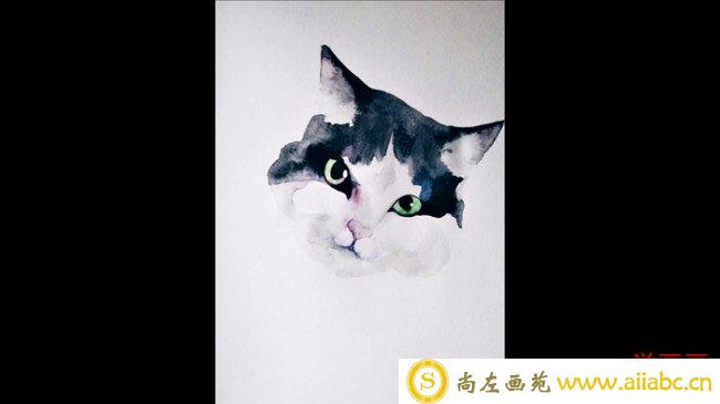 【视频】简单可爱的猫咪水彩手绘视频教程 唯美逼真黑白毛发猫咪头部水彩画_