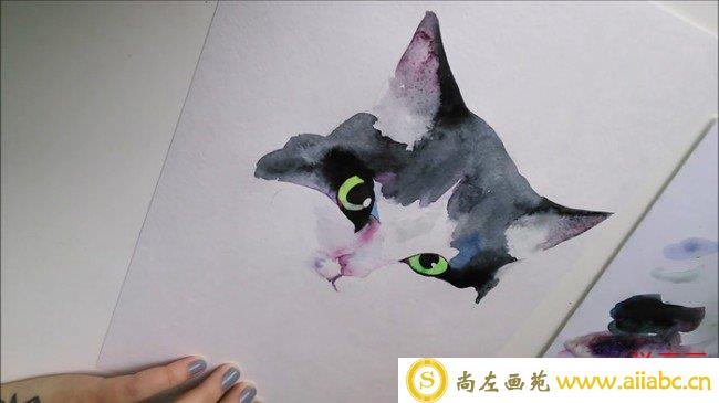 【视频】简单可爱的猫咪水彩手绘视频教程 唯美逼真黑白毛发猫咪头部水彩画_