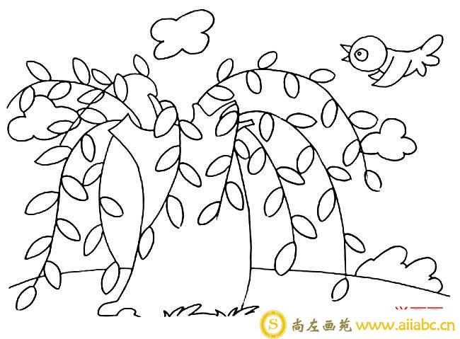 柳树简笔画图片 漂亮的柳树怎么画
