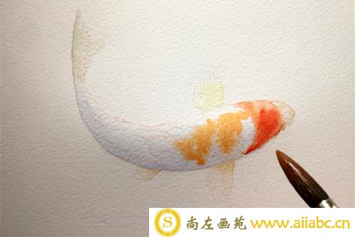 水彩画锦鲤的画法