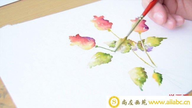 【视频】唯美清新的三枝玫瑰花水彩画手绘视频教程 含苞待放带枝叶的玫瑰花_