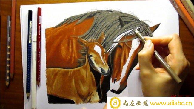 【视频】帅气又逼真的骏马彩铅手绘视频教程 马的彩铅上色过程_