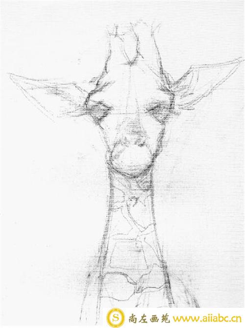 丙烯画教程：教你用丙烯画长颈鹿