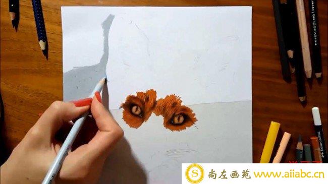 【视频】可爱真实的狐狸彩铅手绘视频教程 教你用彩铅画狐狸上色技巧_
