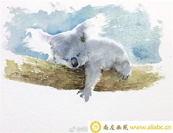 动物树袋熊水彩画教程