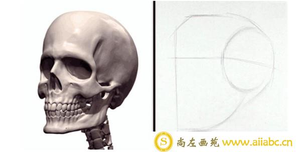 素描教程：人物头部骨骼结构的素描画法步骤
