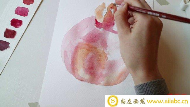 【视频】水彩石榴的画法手绘视频教程 教你画好看的石榴水彩画技法_