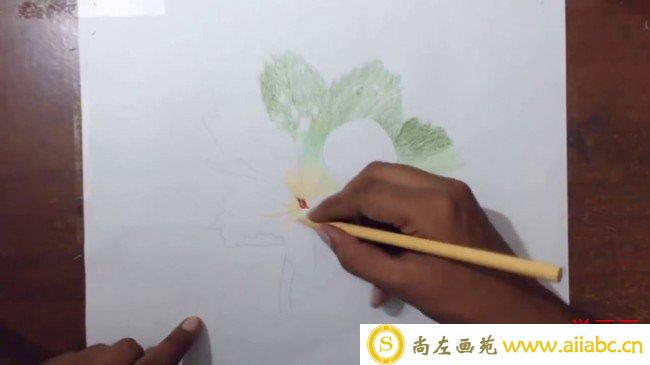 【视频】树叶上的露珠逼真立体的彩铅画手绘视频教程_