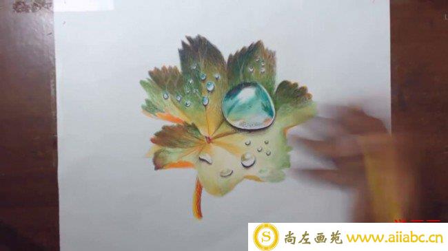 【视频】树叶上的露珠逼真立体的彩铅画手绘视频教程_