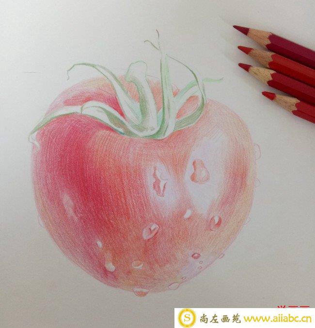 西红柿番茄彩铅手绘教程图片 西红柿彩铅怎么画 番茄的画法_