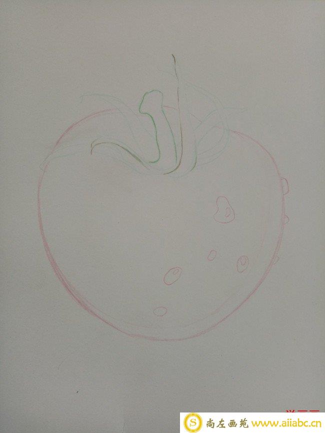 西红柿番茄彩铅手绘教程图片 西红柿彩铅怎么画 番茄的画法_