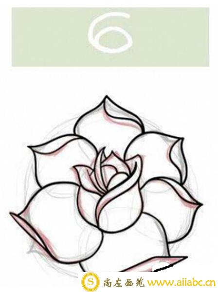 手绘玫瑰花教程:手绘玫瑰花线稿步骤图