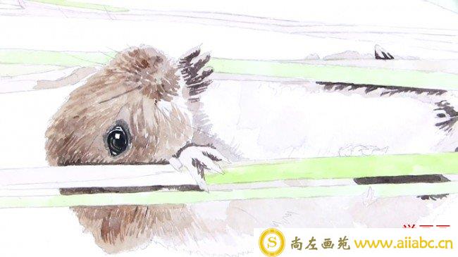【视频】可爱的小老鼠水彩画手绘视频教程 较为写实的画法_
