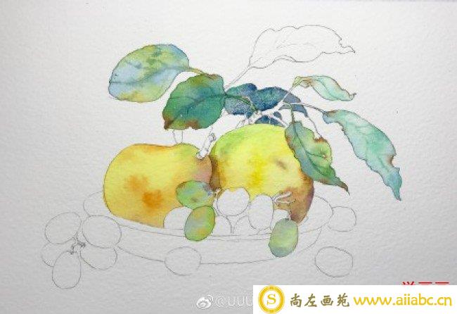 果盘里的梨子和葡萄水果静物水彩手绘教程图片 李子和葡萄的水彩画画法_
