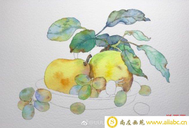 果盘里的梨子和葡萄水果静物水彩手绘教程图片 李子和葡萄的水彩画画法_