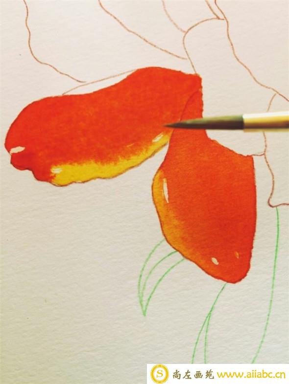 水彩画教程：教你画美丽的杜鹃花