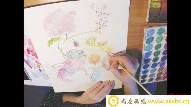 【视频】很美的水彩花卉植物手绘视频教程 多个植物花朵 蜂鸟唯美画面_