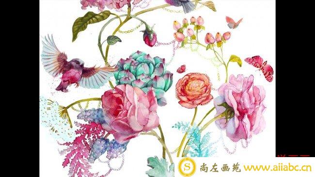 【视频】很美的水彩花卉植物手绘视频教程 多个植物花朵 蜂鸟唯美画面_