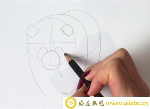儿童画大熊猫的画法