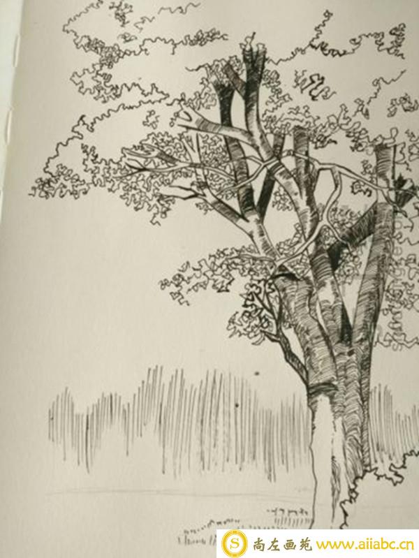 简单的钢笔画树的画法是什么