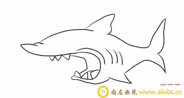 简笔画鲨鱼的画法步骤图