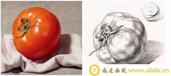 单体素描：蔬菜水果单体素描组合教程