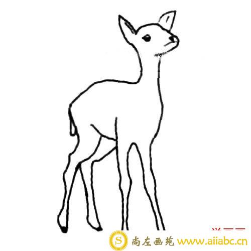 可爱动物麋鹿简笔画