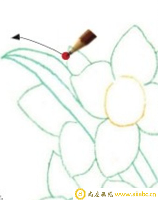 彩铅画水仙花的画法