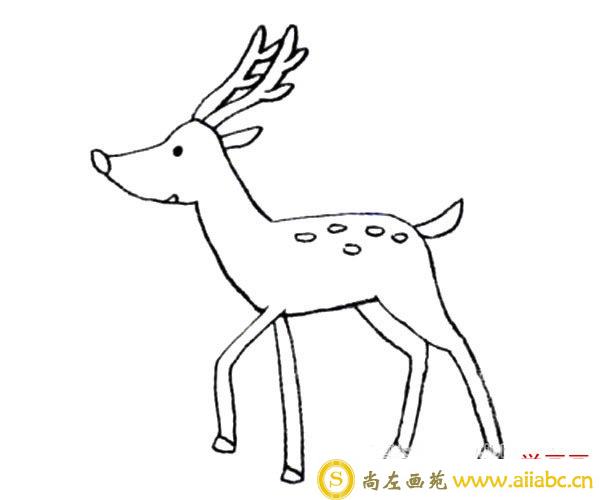 可爱的小动物梅花鹿的简单画法