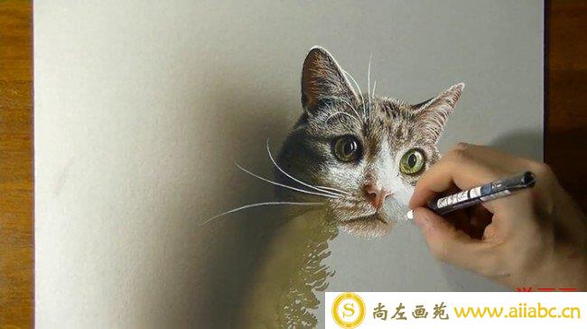 【视频】超写实的彩铅猫咪彩铅手绘教程步骤绘画方法 结合水彩高光笔喷枪_