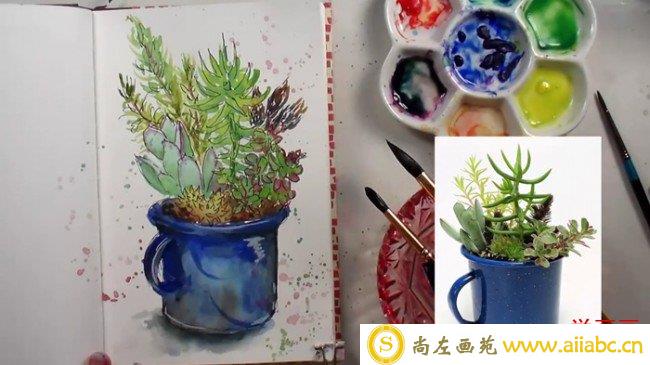 【好看的多肉小盆栽水彩画法】简单的植物盆栽水彩画怎么画_