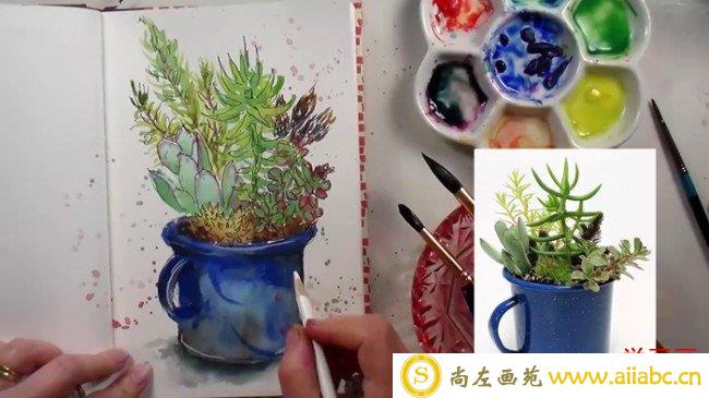 【好看的多肉小盆栽水彩画法】简单的植物盆栽水彩画怎么画_