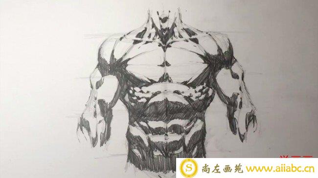 【男性胸肌腹肌手臂肌肉】简单的男性人物上身肌肉素描展示绘画教程_