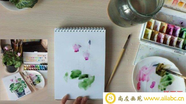 【视频】小清新水彩盆栽手绘视频教程图片 简单的植物盆栽水彩画画法_