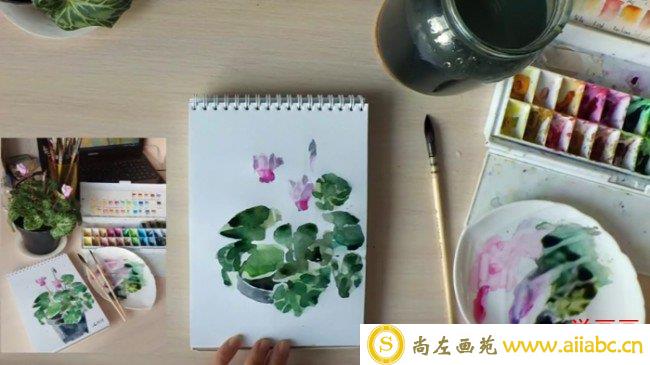 【视频】小清新水彩盆栽手绘视频教程图片 简单的植物盆栽水彩画画法_