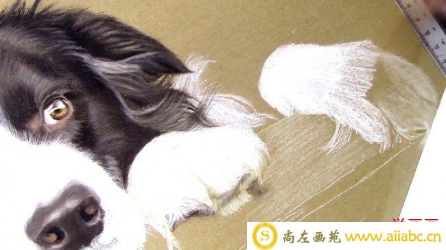 【视频】可爱的狗狗彩铅画视频教程 教你画狗狗的彩铅手绘图片教程_