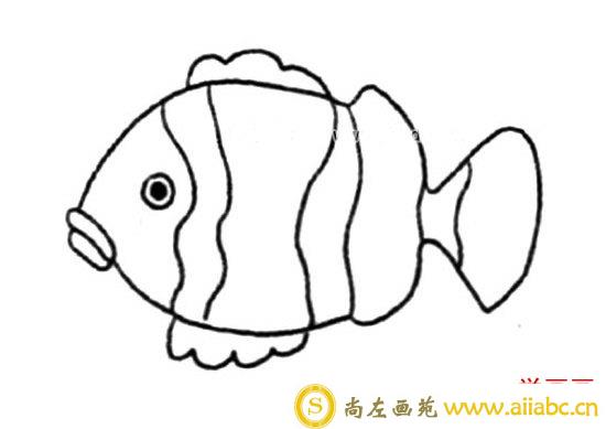 简单的小丑鱼简笔画的画法步骤图