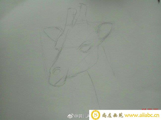 长颈鹿素描画手绘教程图片 长颈鹿素描头像画法 长颈鹿素描怎么画_