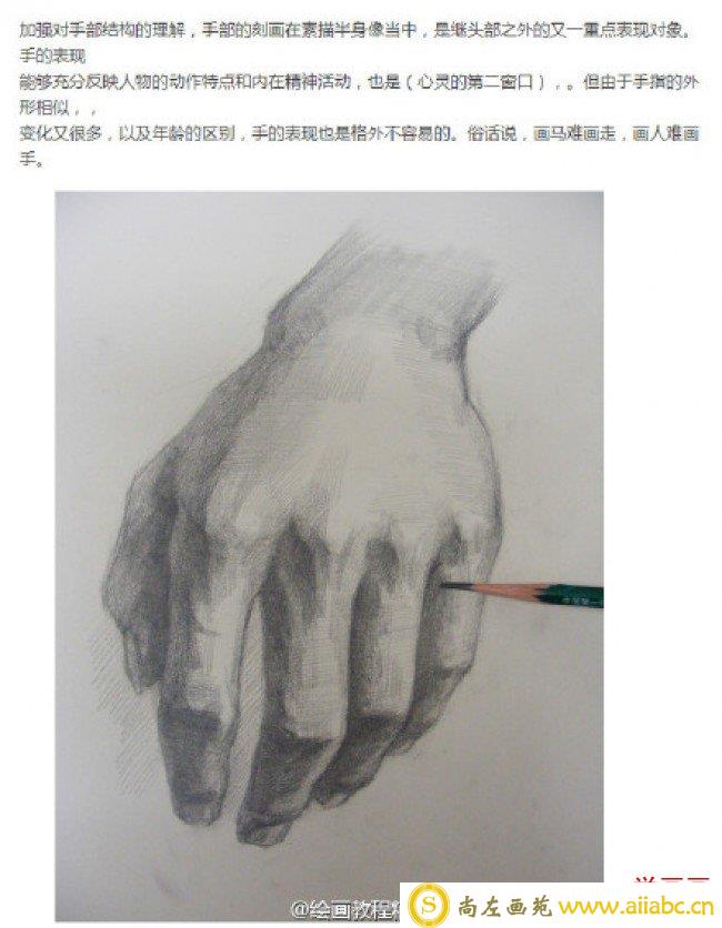 手部素描手绘教程图片 手的各种姿势素描画画法 手部素描怎么画_