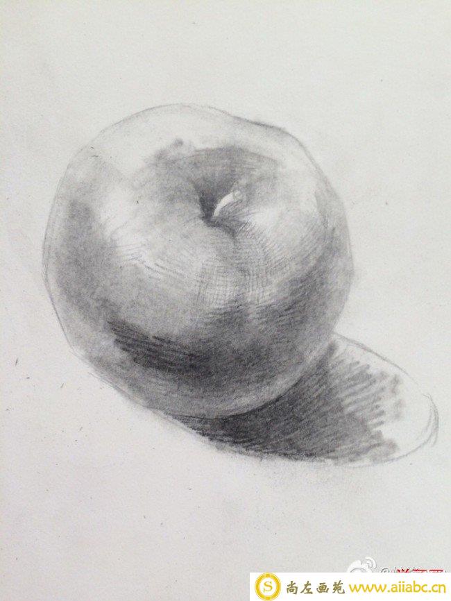 苹果的素描画手绘教程图片 苹果素描画怎么画 苹果素描的画法_