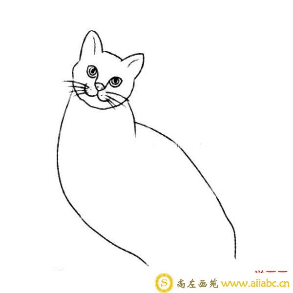 小猫的简笔画画法步骤
