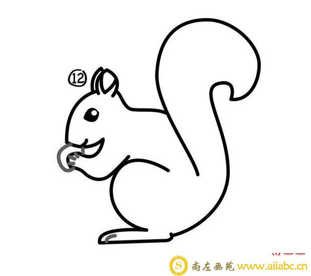 吃松果的小松鼠简笔画图片